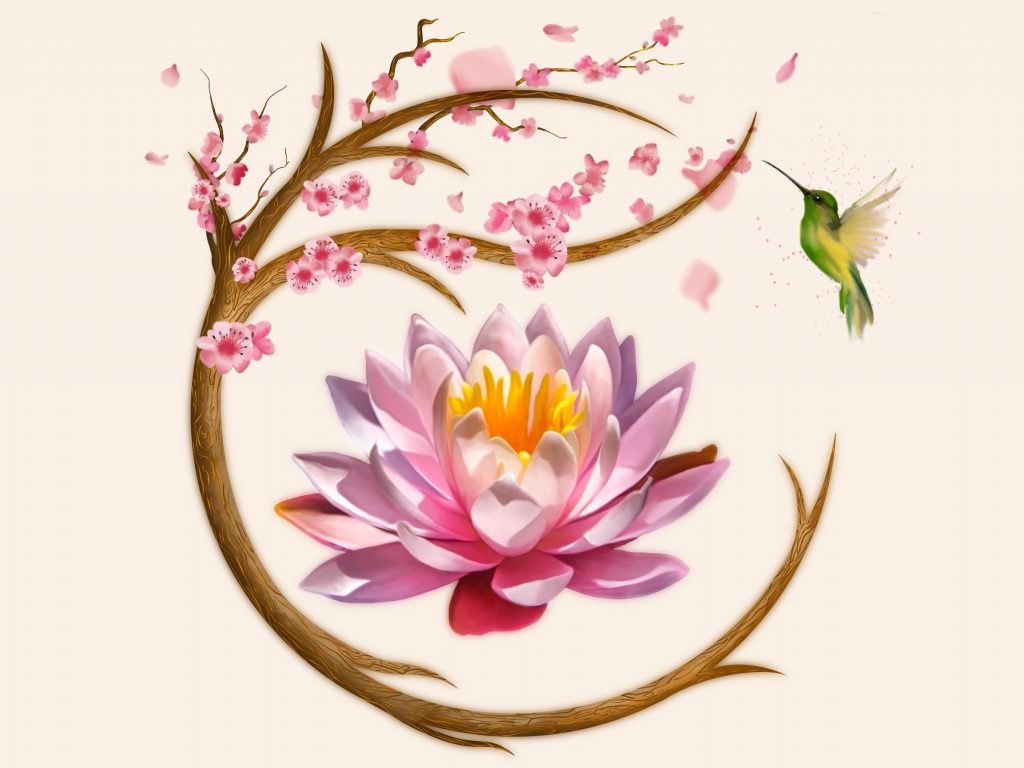 Lotus illustratie - over